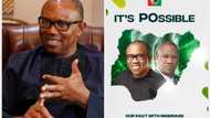 Apprenticeship, hourly pay, naira: List of economic plans in Peter Obi's manifesto to Revive Nigerian Economy