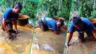 "It gives me nightmare": Nigerian lady posts video of dirty environment where palm oil is processed