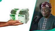 FG reopens portal to share N50,000 grant to Nigerians via SMEDAN, sets simple steps to qualify
