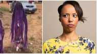 I hope it's wig and just for cruise: Video of 2 little girls with floor length purple braids spark reactions