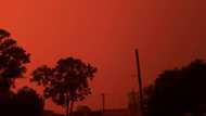 Thousands flee as Australia fires turn skies blood red (photos)
