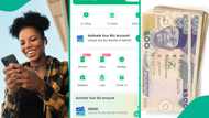 Lady shows her Opay bank account balance on social media, draws reactions, "See pressure"