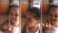 Cute little girl boldly approaches an adult, begs to be given a boyfriend, video stirs reactions