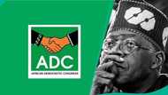 Plot to unseat Tinubu: Kenneth Okonkwo mentions why ADC must reject Obi, Amaechi in 2027