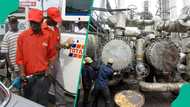 Domestic refineries seek govt support to increase production, end petrol importation