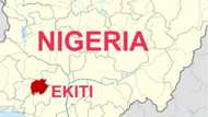 Panic as gunmen invade community, Kidnap 8 funeral guests in Ekiti