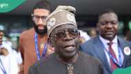 President Tinubu told to immediately sack 2 top ministers, names surface