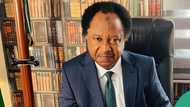 “Nigeria gradually becoming a war ground”: Shehu Sani reacts as bandits kill immigration officers in Kebbi