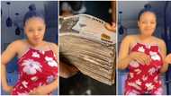 "Sack her": Nigerian housemaid surprises madam with N100k cash, viral video leaves people in disbelief