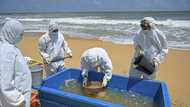 Singapore firm rejects $1bn Sri Lankan pollution damages