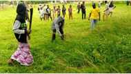 “I'm truly impressed,” Muslim leader says as Christians join to clear grass at Eid praying ground