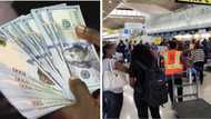 Airline passengers to pay N300,000 more as exchange rate hits N803/$1