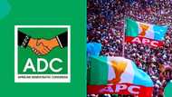 ADC ta hango matsala ga APC bayan hukuncin babbar kotu kan zabe a Najeriya