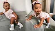 Video of adorable baby girl lights up social media, people say her laugh is perfect