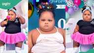 “To born no con hungry me”: Beautiful chubby girl celebrates one-year-old birthday, people react