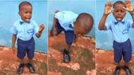 "Professor no do reach like this": Little boy, 4, leads assembly boldly like an adult, video trends