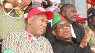 Will Labour Party senators and reps-elect defect? National chairman Abure spills fresh fact