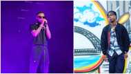 Wizkid's artist Starboy Terri says he couldn't attend London show due to visa issues, stirs reactions
