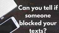 Can you tell if someone blocked your texts? How to know if you have been blocked