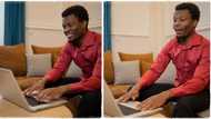 "Hired as a web developer": Man gets big job that pays in US dollars, shares good news on Twitter