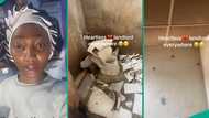 Lady breaks toilet and tap after landlord sent her packing from apartment, explains why, many react