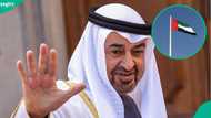 UAE mentions 5 categories of foreigners eligible for Blue Residency with long-term stay