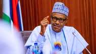 'Yan Najeriya Ba Zasu Fuskancin Rashin Abinci Ba a 2023, Gwamnatin Buhari