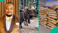 Christmas: Man buys cows, bags of rice and distributes for poor people in his community