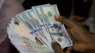 Naira continues its steady fall in the official and parallel markets