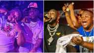 Friends to brothers: 5 impressive times Davido and Cubana Chiefpriest served amazing bestie goals