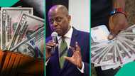 CBN injects $50m into forex market to stabilise naira amid rising dollar demand