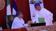 President Buhari makes 5 crucial appointments in education, names Oyegun, Tejuosho, others