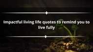 150 impactful living life quotes to remind you to live fully