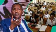 Dangote unveils N100bn annual scholarship scheme to support Nigerian students
