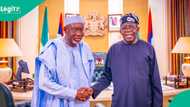 Shugaba Tinubu ya gana da gwamna kan mutuwar mutane 181, bayanai sun fito