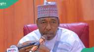 Gwamna Zulum ya mika mulkin jihar Borno ga mataimakinsa, ya fadi dalili