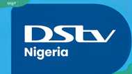 DStv Yanga channels list, complete with pricing and benefits