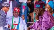 2023 presidency: 5 strong APC states Tinubu may not win in 2023 and why