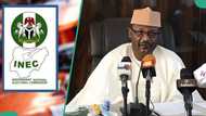 Election Explainer: How is the INEC chairman appointed?