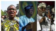 Peter Obi? Bola Tinubu finally reveals his major contenders