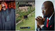 "Person way get money" Obi Cubana rolls out pictures ahead of 48th birthday, shows off 1st cow gift