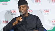 Yemi Osinbajo's biography: all we know about Nigeria's former Vice President