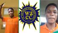 WAEC results 2025: Boy dances happily after seeing his result, displays grades online, people react