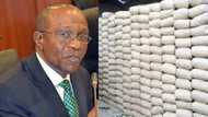 CBN urges BUA, Dangote other Cement Manufacturers to reduce price, promises more support