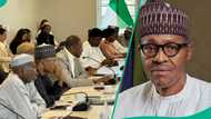 Gwamnonin Arewa 7 su haɗa baki, sun ba da hutun kwana 1 saboda rasuwar Buhari