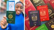 Nigeria Missing as UAE, Ukraine Make List of Most Improved Passports Over the Last 10 Years