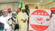 Sabuwar tafiya: Hotunan yadda Kwankwaso ya kaddamar da sabon tambarin NNPP a Abuja