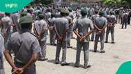 Nigeria’s customs seizes N352 million worth of smuggled goods as dealers hike rice price