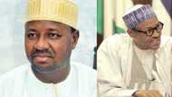 He wouldn't have become president - Atiku's ex-aide slams Buhari for showing ingratitude