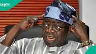 "You must bear the consequences": Tinubu sends strong warning to developers